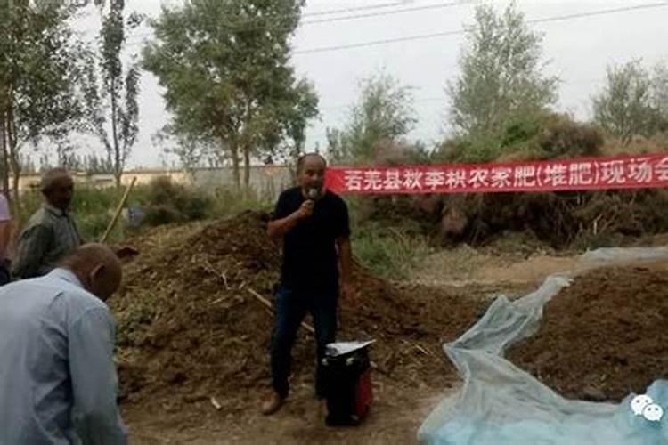 草可以直接埋土里做肥料吗怎么快速让杂草变肥料