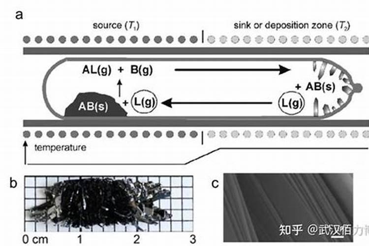 如何正确施用磷肥？