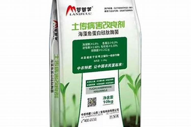 生态瓶的制作方法