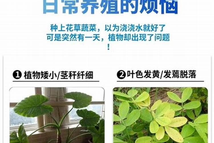 农村水田栽树违法吗？