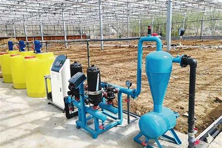 山东宁阳带华的企业