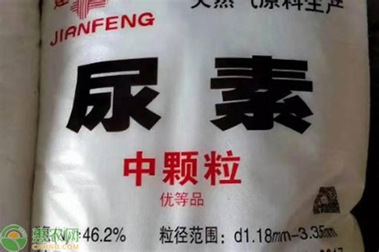 如果先一铵在钙肥可以吗