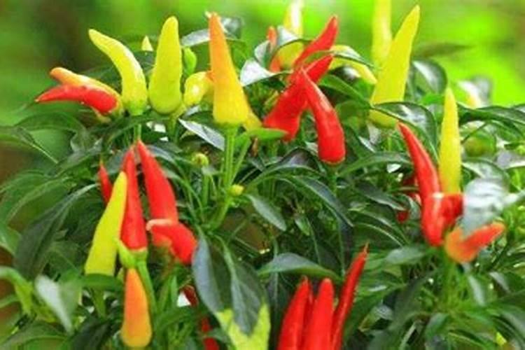 海水能提炼磷钾肥吗