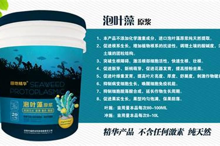 盆栽西瓜长不大叶子很小怎么办