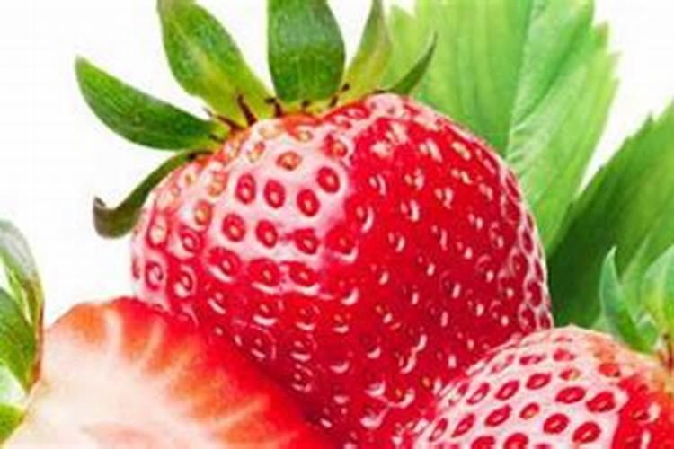 草莓各个时期的施肥方案,什么时候冲高磷肥