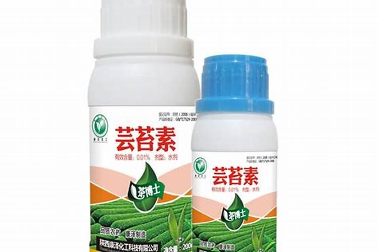 茶叶小苗可以施叶面肥吗