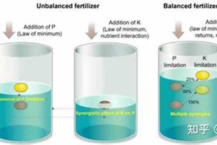 钾肥的正确使用方法 合理施用钾肥需要注意什么
