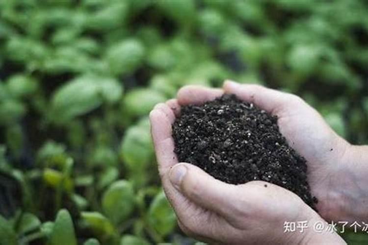 有机肥料可分为哪几类？各类的主要特点是什么？