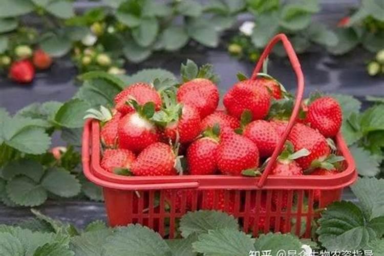 生产复合肥的氮肥 磷肥和钾肥分别有哪些