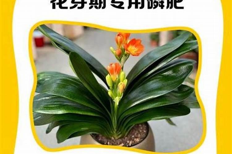 农野小旺混合肥料多少钱一吨