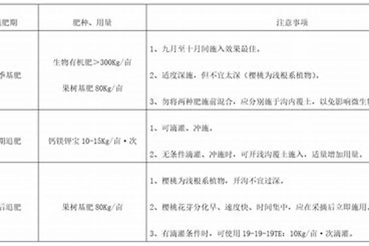樱桃冲施肥什么时候用