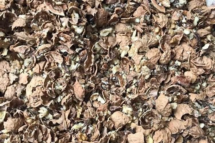 尿素可以浇哪些花