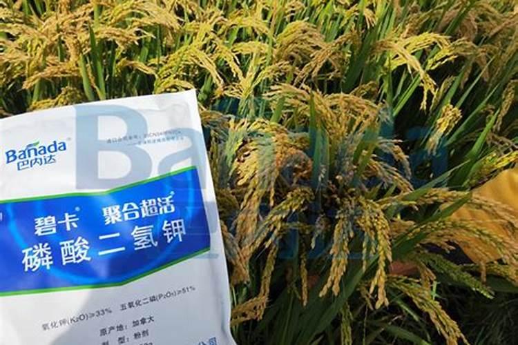 养花用矿原黄腐酸钾比例多少最好