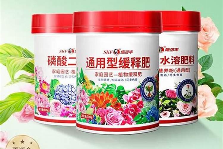 沙姜多久施一次肥