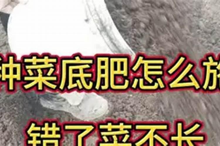 种菜放什么底肥好