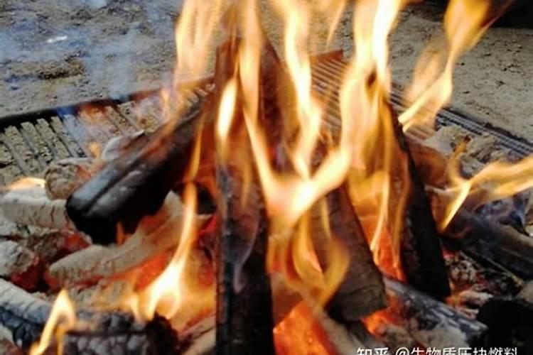 花生皮可以直接放到养花的土里吗？