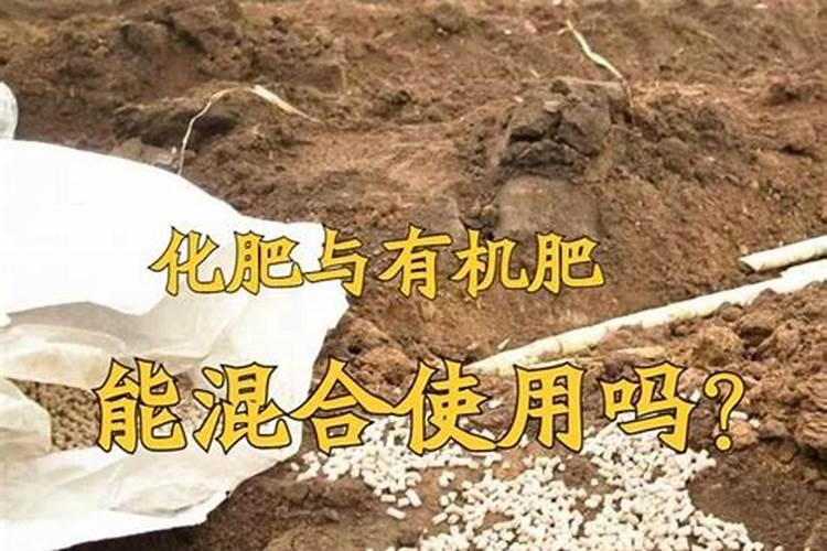 为什么铵态氮肥不能与草木灰混合使用