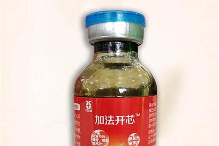 辣椒得了什么病害？
