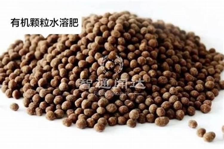 促进植物生根的肥料是钾肥还是磷肥