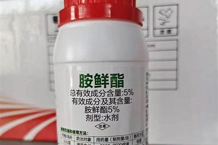 桔子开花期施什么肥好？