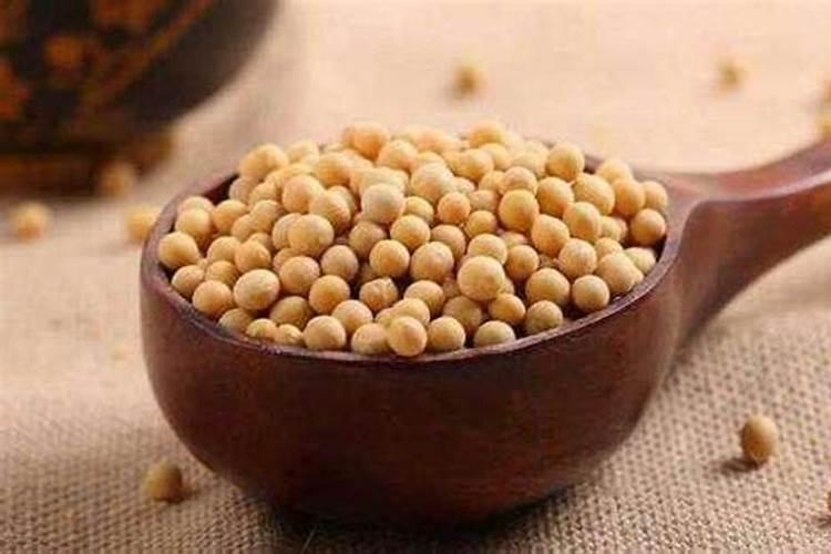 黄豆可以做肥料吗