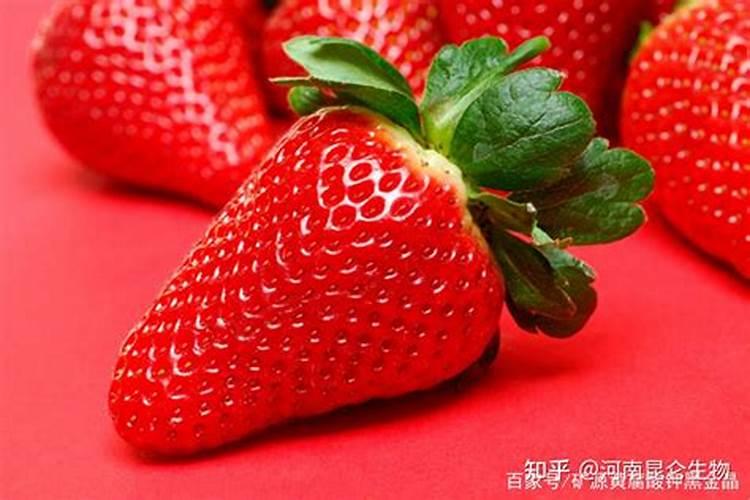 草莓开花结果期施什么肥