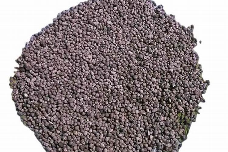 种植油菜为什么要施硼肥油菜啥时候施硼肥好