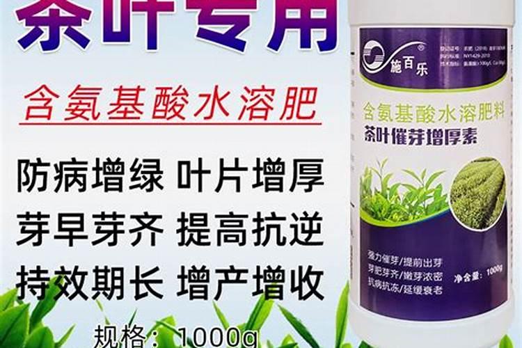 石斛用什么肥料好