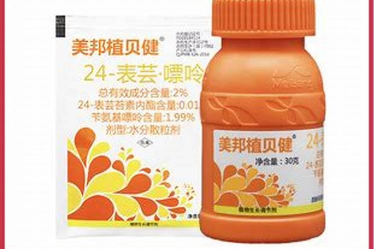 什么树的种子不进入土壤就可以发芽生根