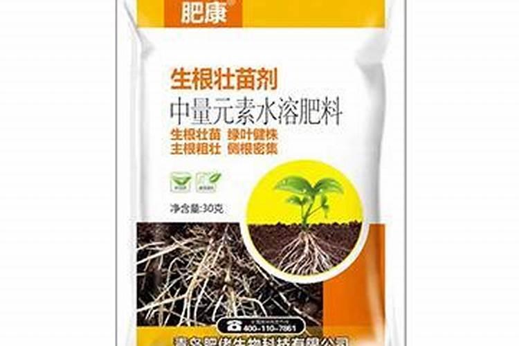 移栽树苗生根粉怎么用？生根粉可以浇土吗？