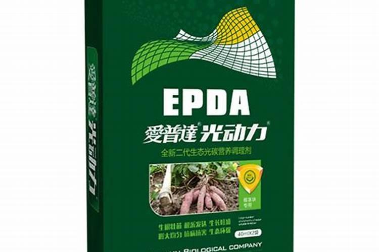 兰花移栽要不要剪掉根？