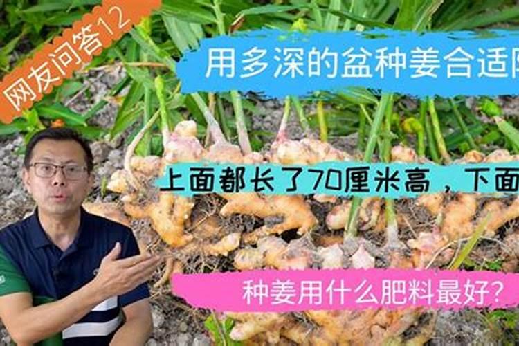 黄腐植酸和腐植酸什么区别呢？