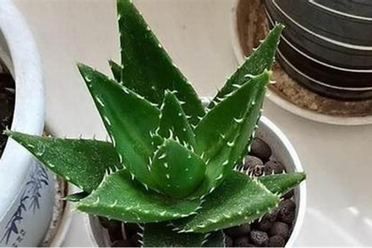 为何认为上临界雷诺数无实际意义,而采用