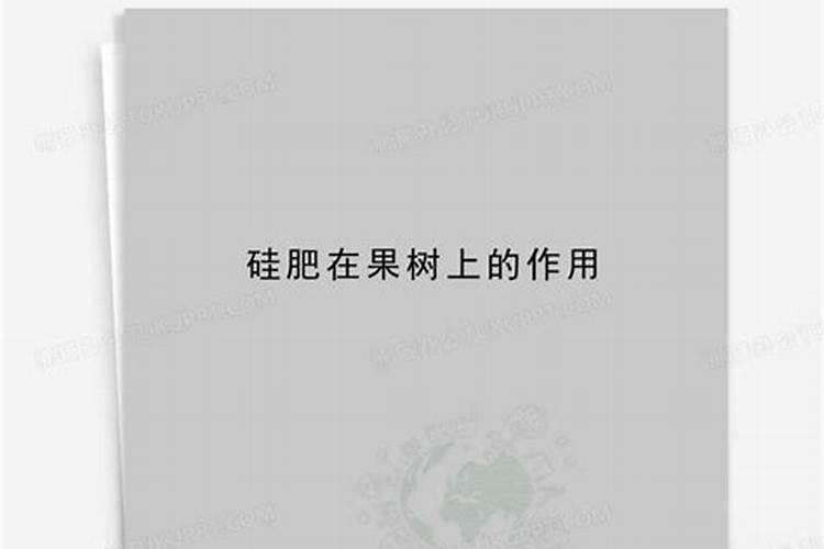 硅肥在果树上如何施用