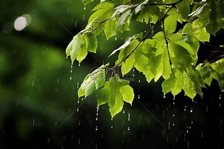 叶面肥打后下雨有效吗