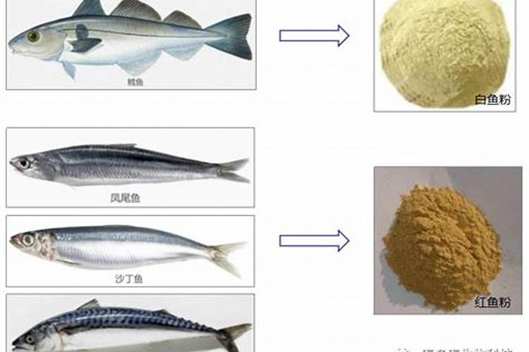 玉米几叶打三遍虫子药