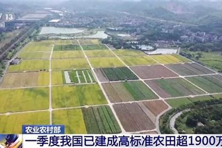 宝鸡氮肥厂基本信息
