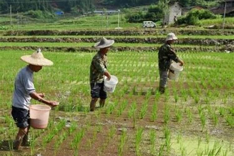 沧州大化股份有限公司的公司历史