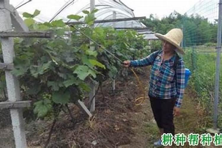 初步区分常用氮肥、磷肥、钾肥的方法是什么