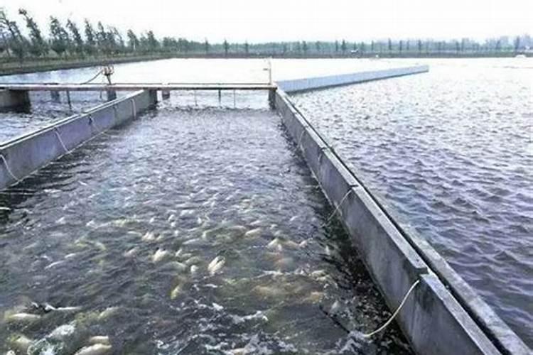 磷肥种菜的使用方法