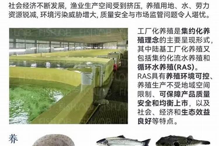 磷肥对鱼塘的作用及功能