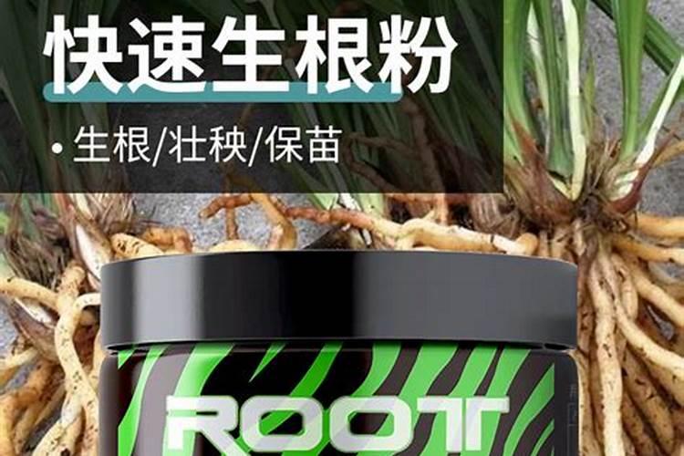 中国钾肥前十名上市公司