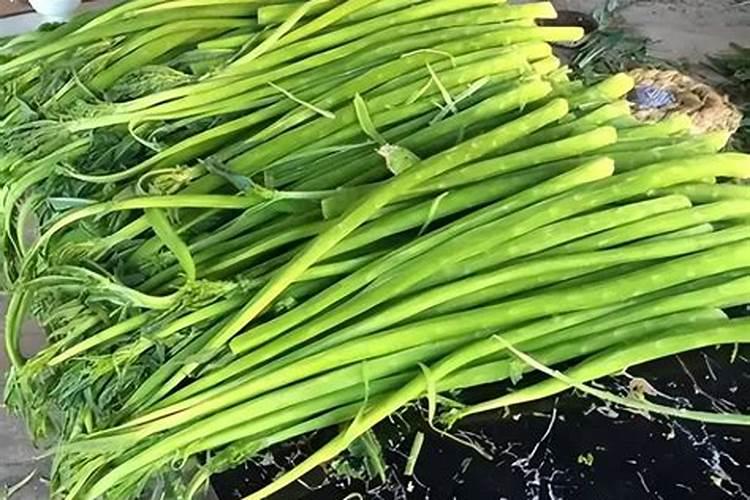 贡菜可以施含氯高的肥料吗？
