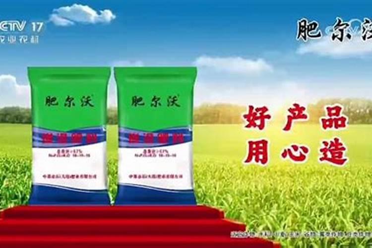 小樱桃树价格多少钱一株？小樱桃树移栽技术方法