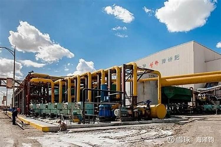 “盐湖提锂”一夜起飞,谁将在世界级盐湖基地里尝到甜头？