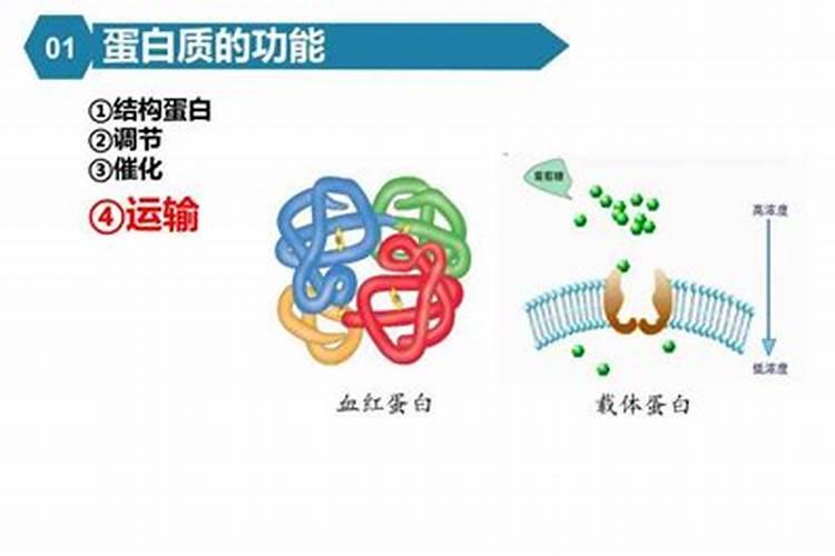 铵盐有什么性质？