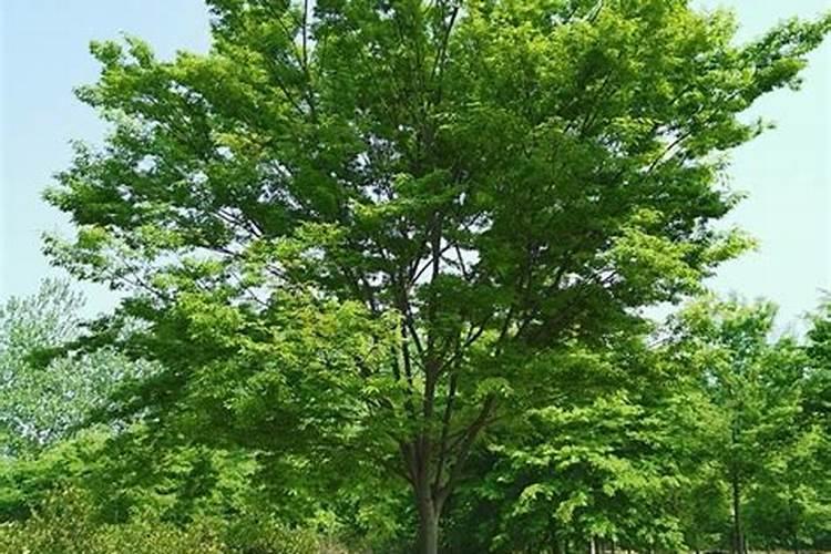 施肥罐怎么安装