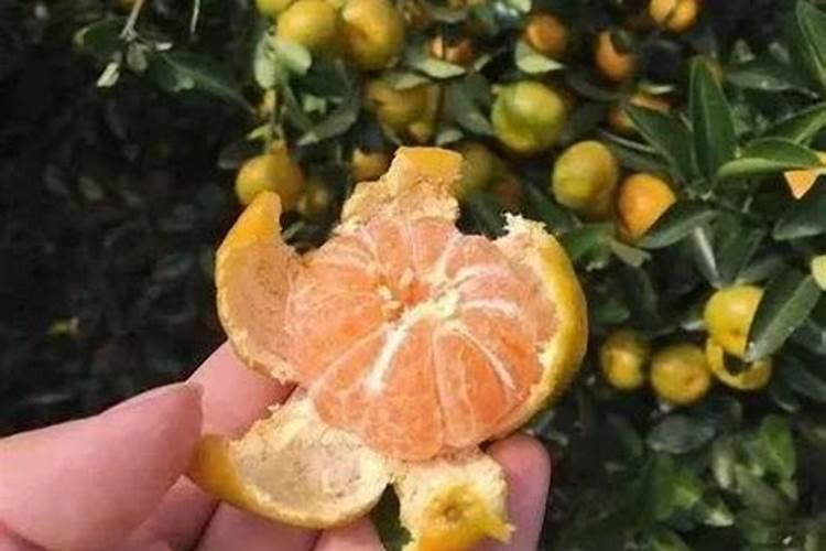 施肥罐基本操作