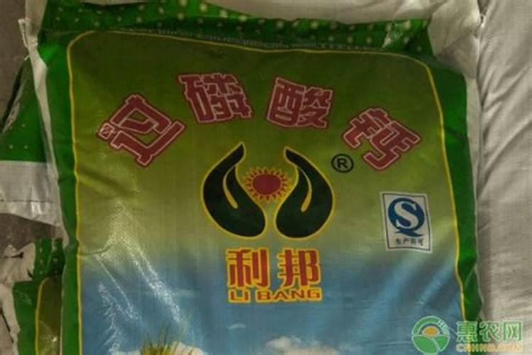 镁偏低吃什么补