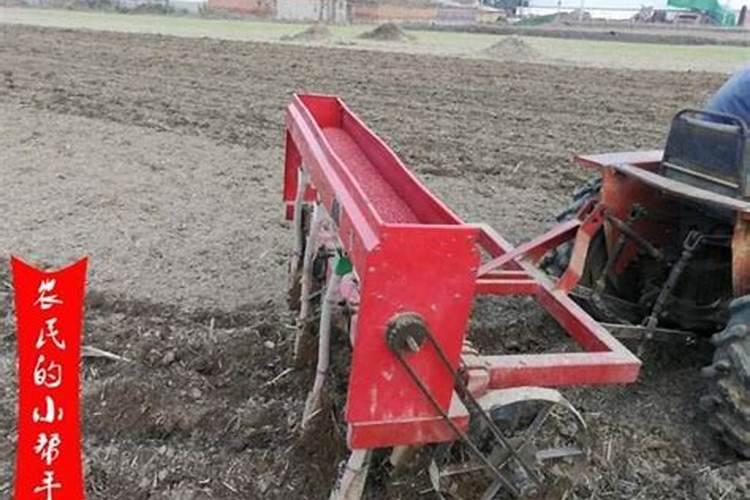 榕树怎么施肥,榕树施肥方法